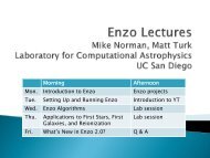 Enzo Lectures I.pdf