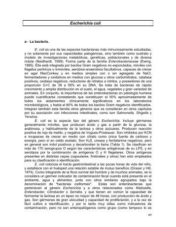 Escherichia coli patógeno entérico como agente de ETA