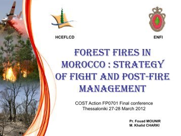 Forest Fires in Morocco - UAECO Group