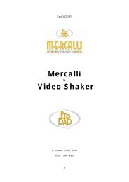 Mercalli Video Shaker