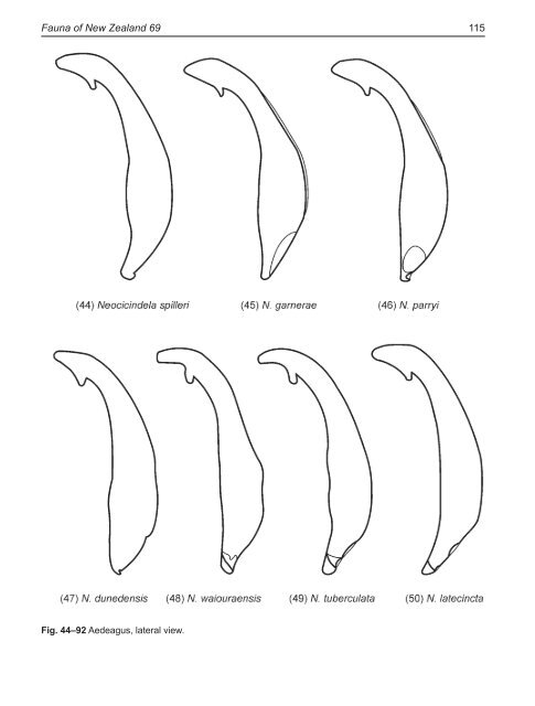 Fauna of New Zealand 69 - Landcare Research