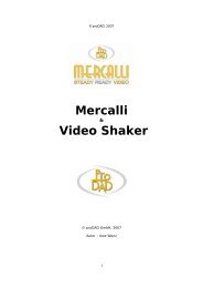 Mercalli Video Shaker