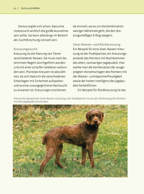 Leseprobe - Wild und Hund