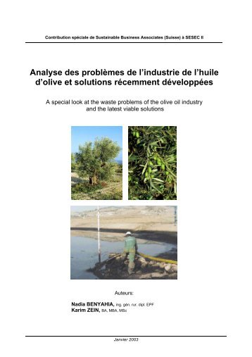 Analyse des problèmes de l'industrie de l'huile d'olive et solutions ...