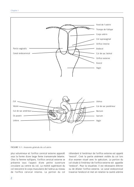 Colposcopie et Traitement des Néoplasies Cervicales Intraépithéliales