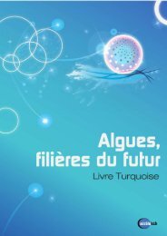 Livre Turquoise – Algues, filières du futur - Adebiotech