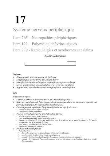 Système nerveux
