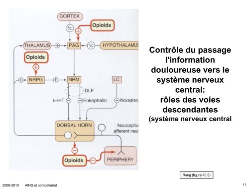 Anti-inflammatoires non-stéroïdiens (AINS) et paracétamol: