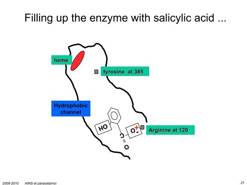 Anti-inflammatoires non-stéroïdiens (AINS) et paracétamol: