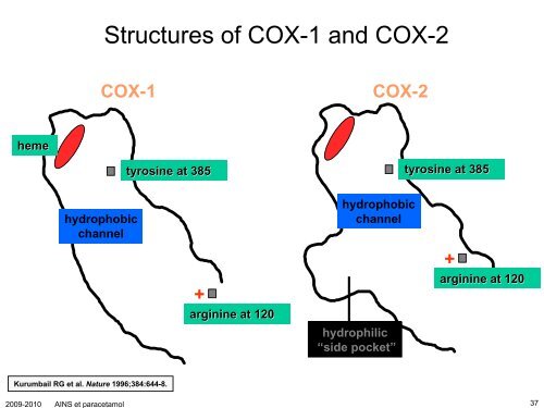 Anti-inflammatoires non-stéroïdiens (AINS) et paracétamol: