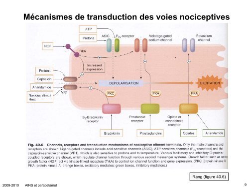 Anti-inflammatoires non-stéroïdiens (AINS) et paracétamol: