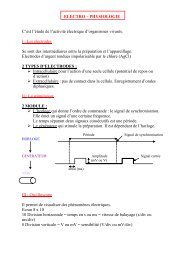 ELECTRO - PHYSIO.pdf