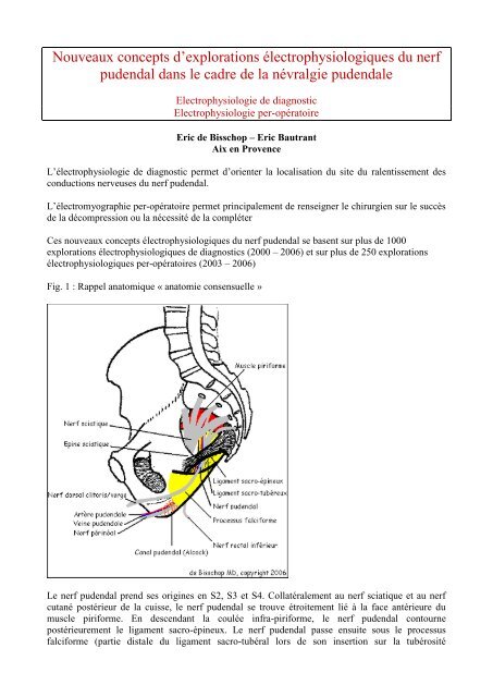 Nouveaux concepts d'explorations électrophysiologiques du ... - AMAP