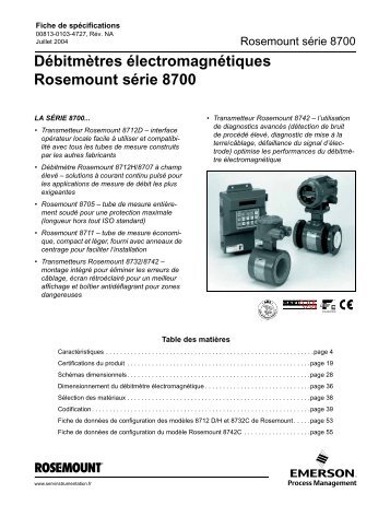 Débitmètres électromagnétiques Rosemount série 8700 - Serv ...