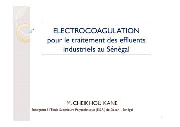 Electrocoagulation pour le traitement des effluents industriels au ...