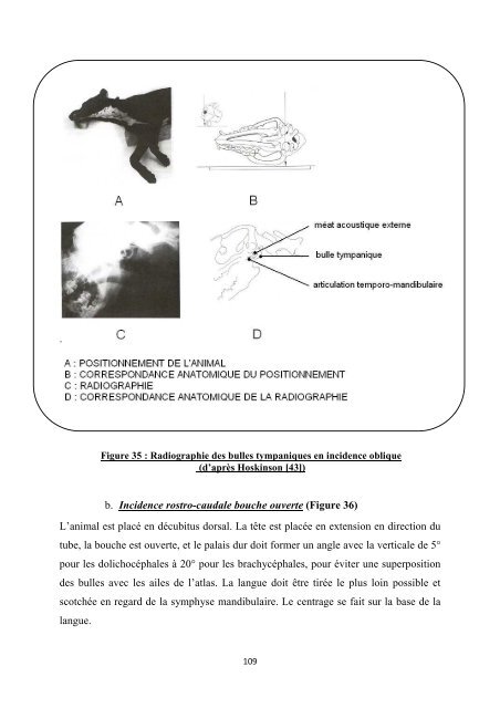 Les surdités acquises chez le chien et les moyens de ... - BEEP