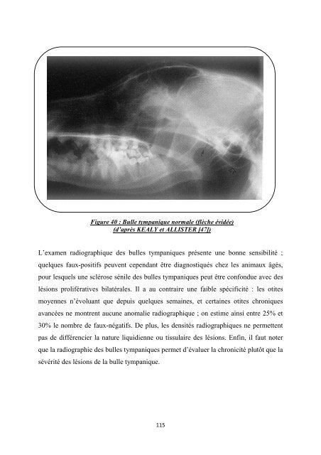 Les surdités acquises chez le chien et les moyens de ... - BEEP