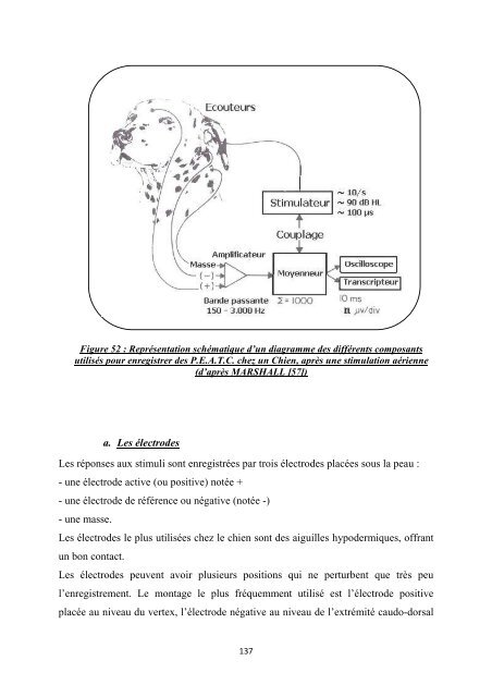 Les surdités acquises chez le chien et les moyens de ... - BEEP