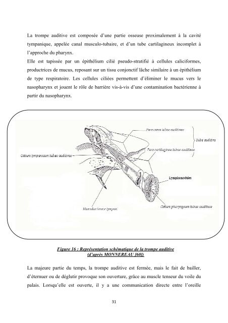 Les surdités acquises chez le chien et les moyens de ... - BEEP