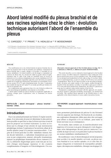 Abord latéral modifié du plexus brachial et de ses racines spinales ...