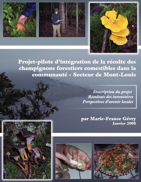 Projet d'intégration de la récolte des champignons - Agri-Réseau