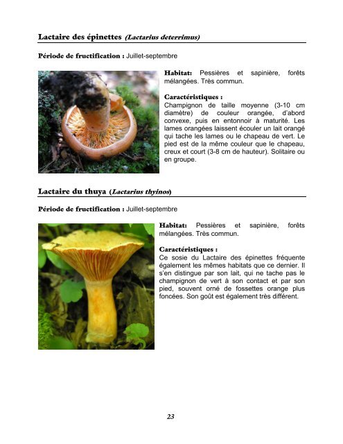 Projet d'intégration de la récolte des champignons - Agri-Réseau