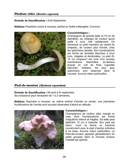 Projet d'intégration de la récolte des champignons - Agri-Réseau