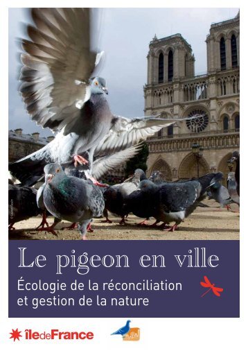 Guide pigeons en ville - Natureparif