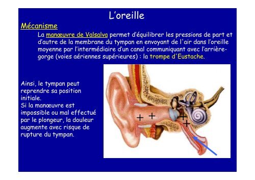 Les accidents bio-mécaniques