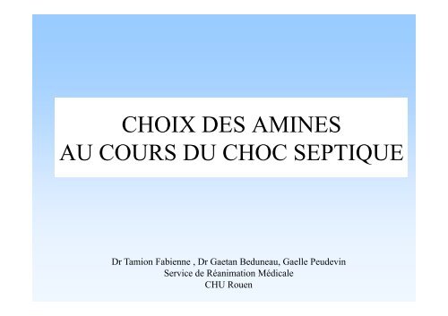 Tamion F - Choix des amines au cours du choc septique - SRLF