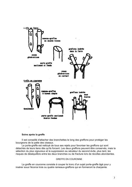 paul_moray_ecoverger.pdf - Agriculture cosmotellurique