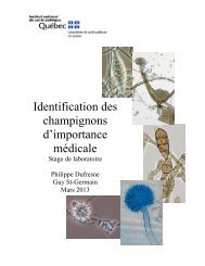 Identification des champignons d'importance médicale