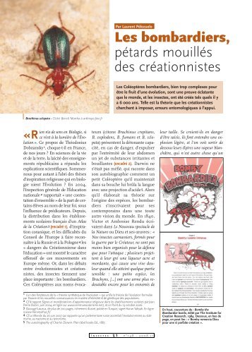 Bombardiers et créationnistes / Insectes n° 148 - Inra