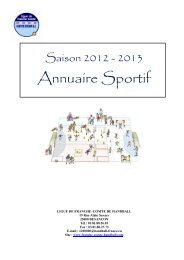 COMITE 25 - Fédération française de handball