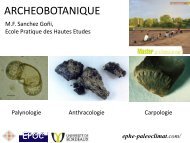 anthracologie - ephe-paleoclimat.com