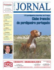 Clube francês do perdigueiro português - Luso Jornal