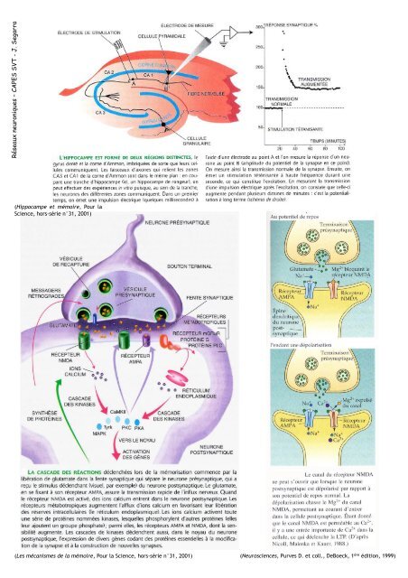 PL_Plan Cours Reseaux neuroniques 081120