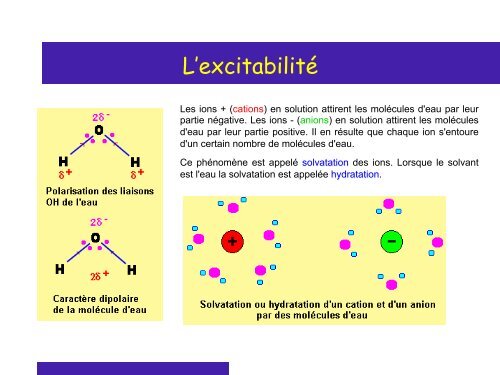 Cours 2 CP NCI 2012 - Département de biologie