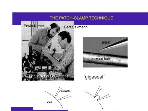 Cours 2 CP NCI 2012 - Département de biologie