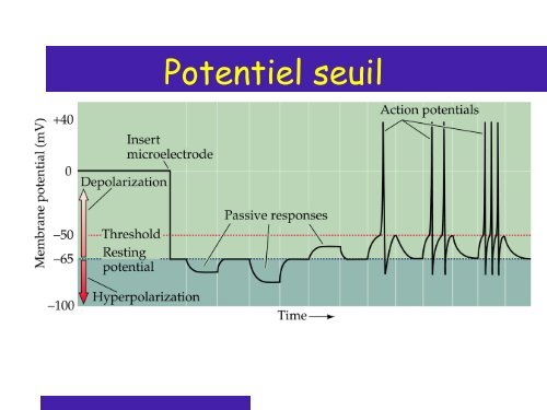 Cours 2 CP NCI 2012 - Département de biologie