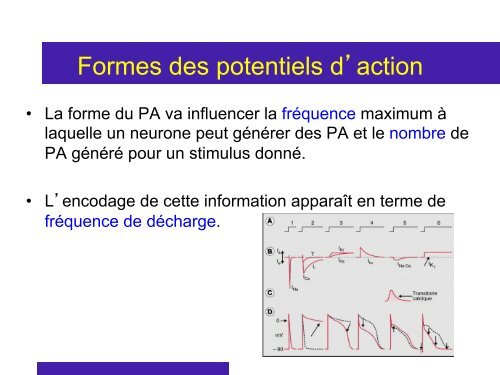 Cours 2 CP NCI 2012 - Département de biologie