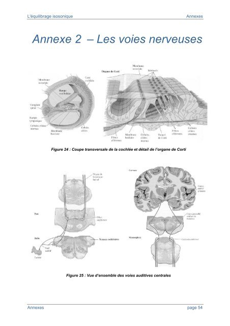 Téléchargez le mémoire de Sébastien PRADEL.pdf