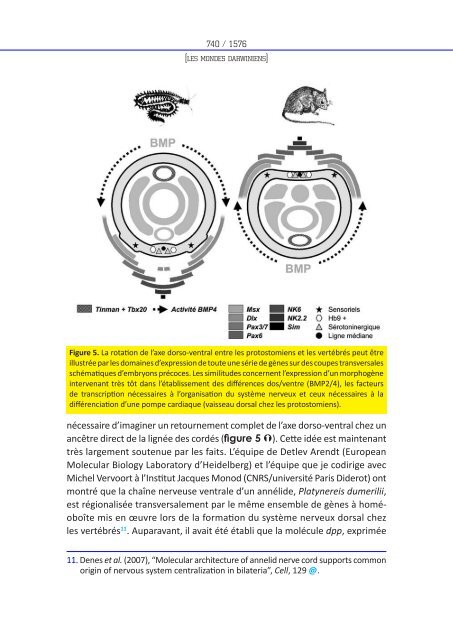 Les mondes darwiniens