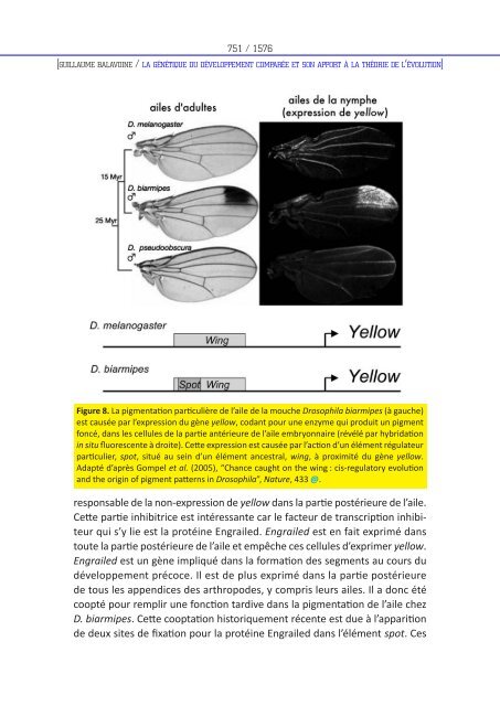 Les mondes darwiniens