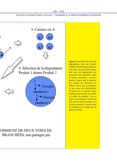 Les mondes darwiniens