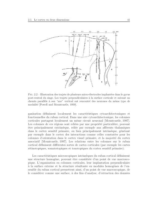 TH`ESE Cédric CLOUCHOUX LOCALISATION ET ...