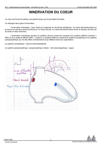 innervation du coeur - Faculté de médecine de Montpellier