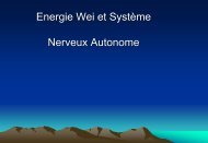 Le système nerveux autonome Energies Wei et Rong