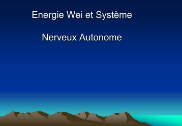 Le système nerveux autonome Energies Wei et Rong