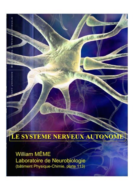 Système Nerveux Autonome